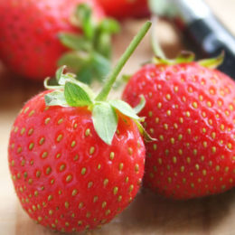 Strawberries - growing strawberries