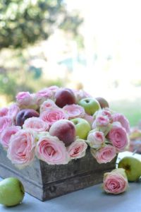 pink-roses-with-apples