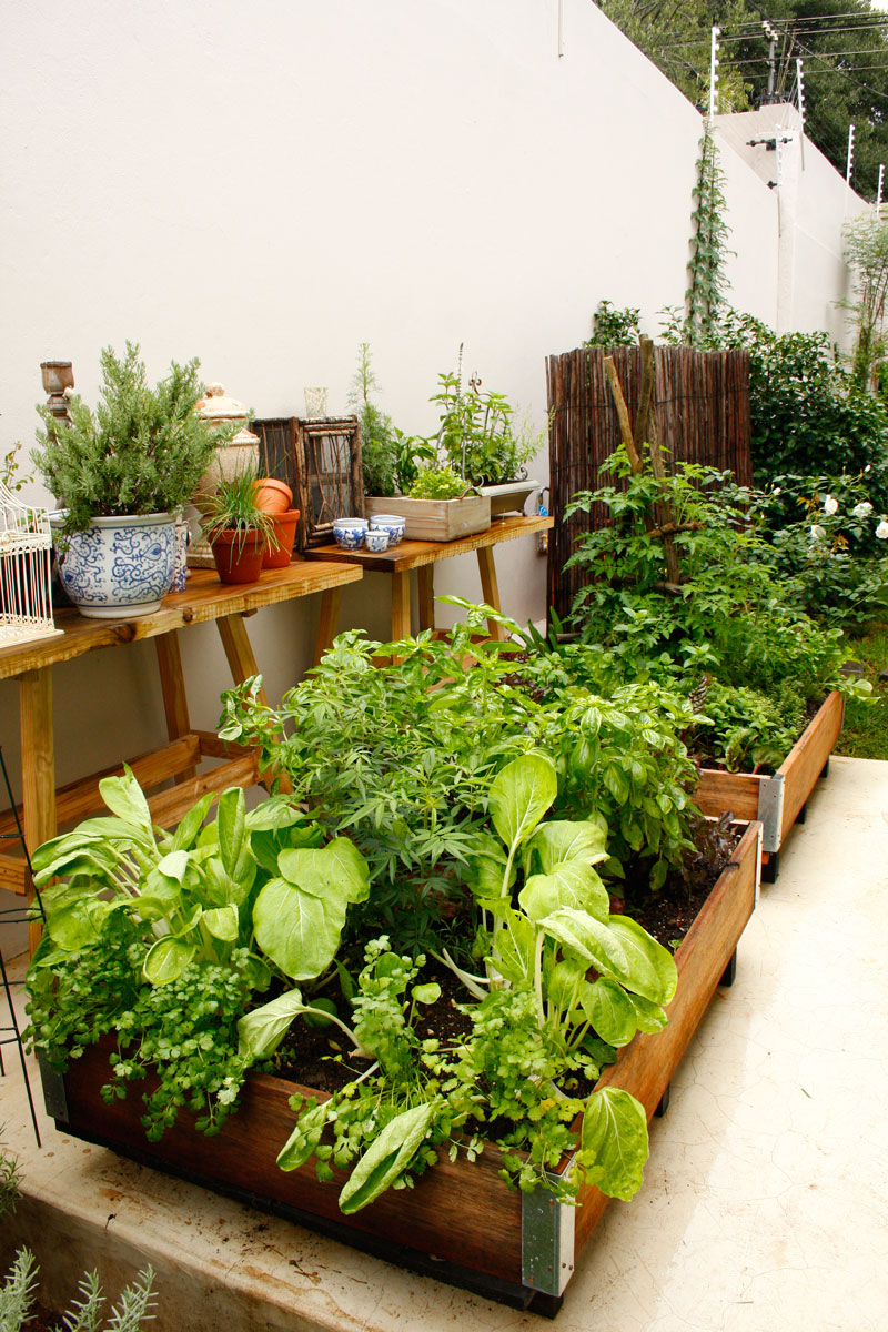 Container veggies - growing veggies in containers