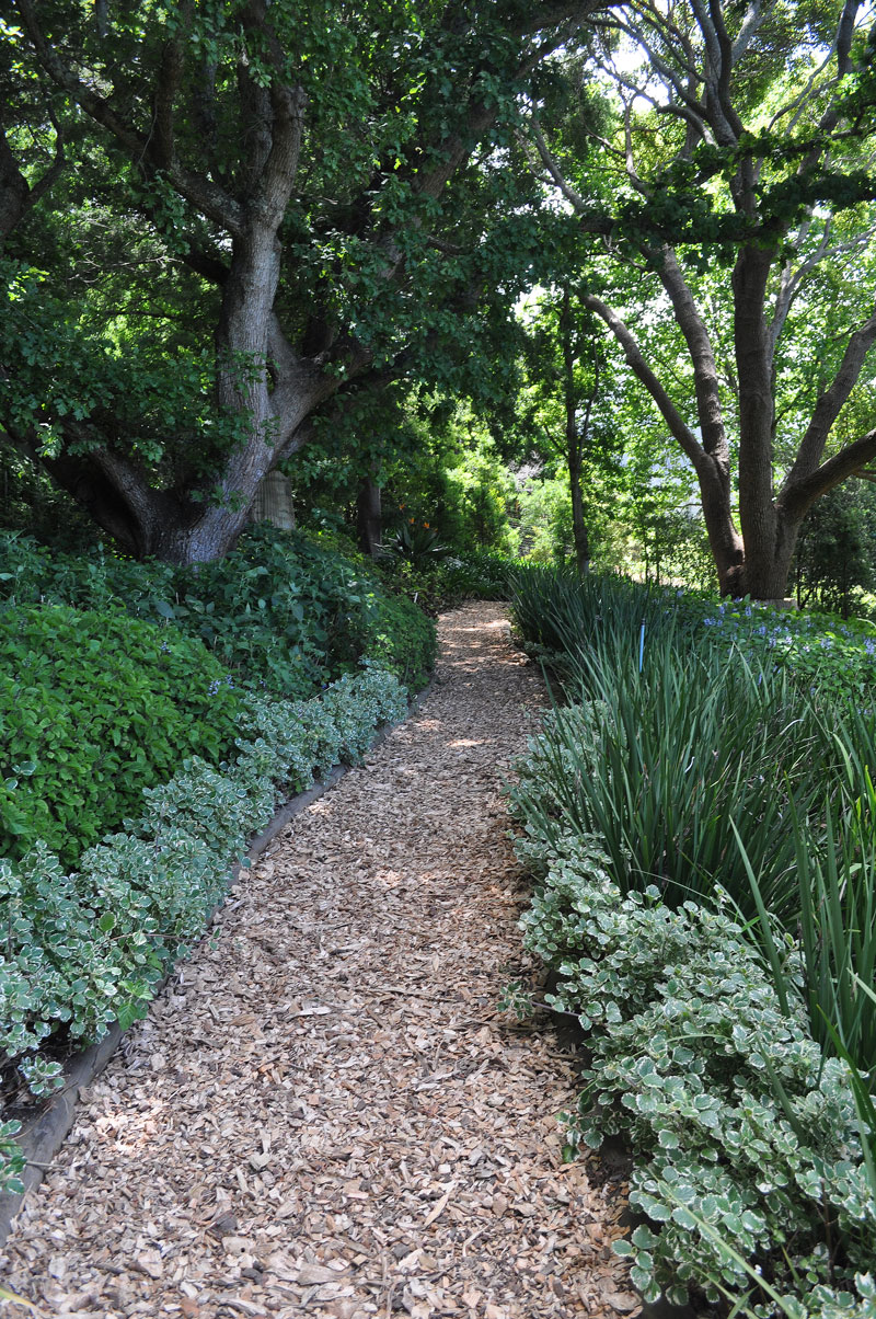 Cover a muddy path with bark chips - garden quick fixes