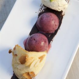 MIXED BERRY AND BASIL SORBET WITH ALMOND TUILES