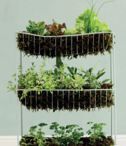 veggie rack