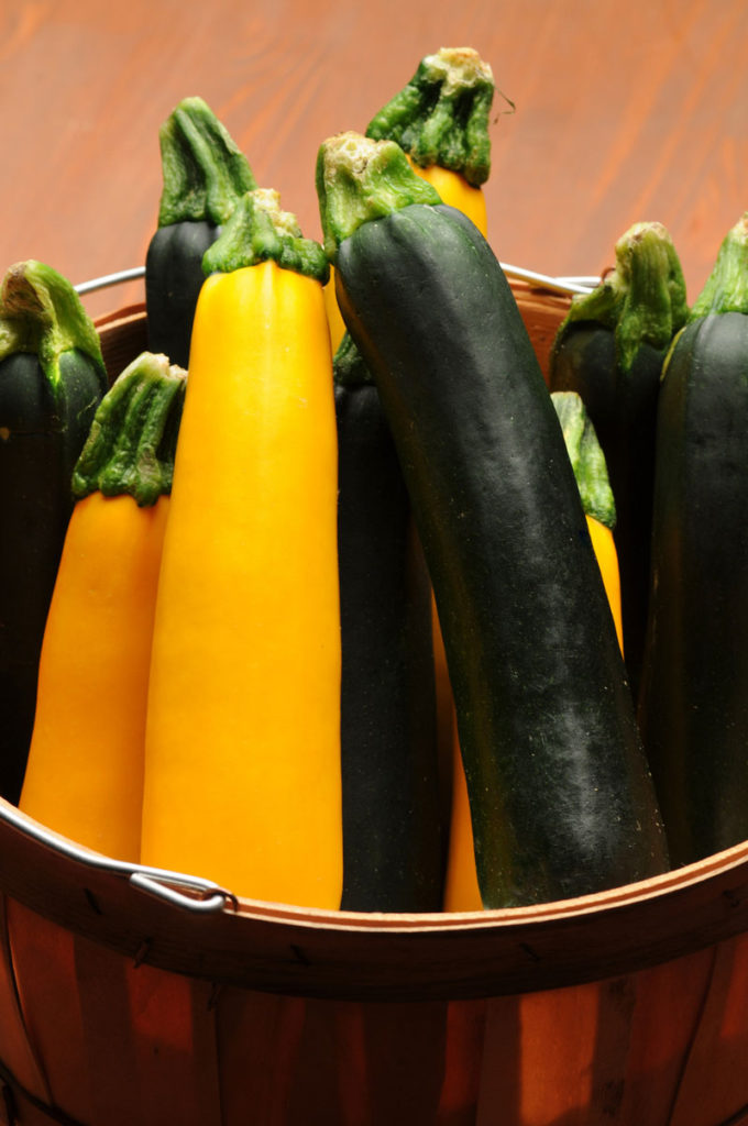 ZUCCHINI ‘EASY PICK’ -- vegetables and herbs for small spaces