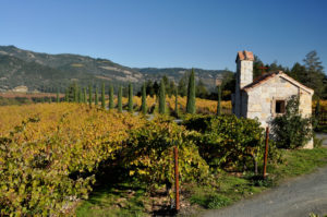 Wine and heritage at Castello di Amoroso.