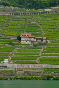 View of the ancient vineyard terraces from Lake Geneva.