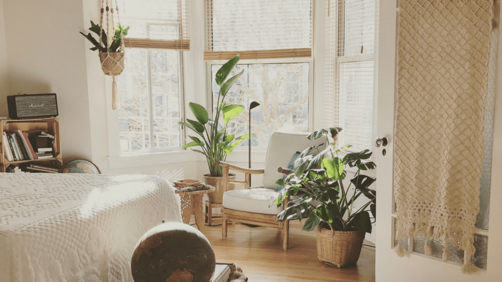 Summer decor_indoor plants