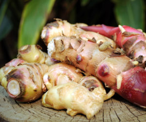 grow-body-cleansing-herbs-ginger