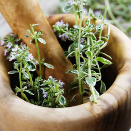 grow-body-cleansing-herbs