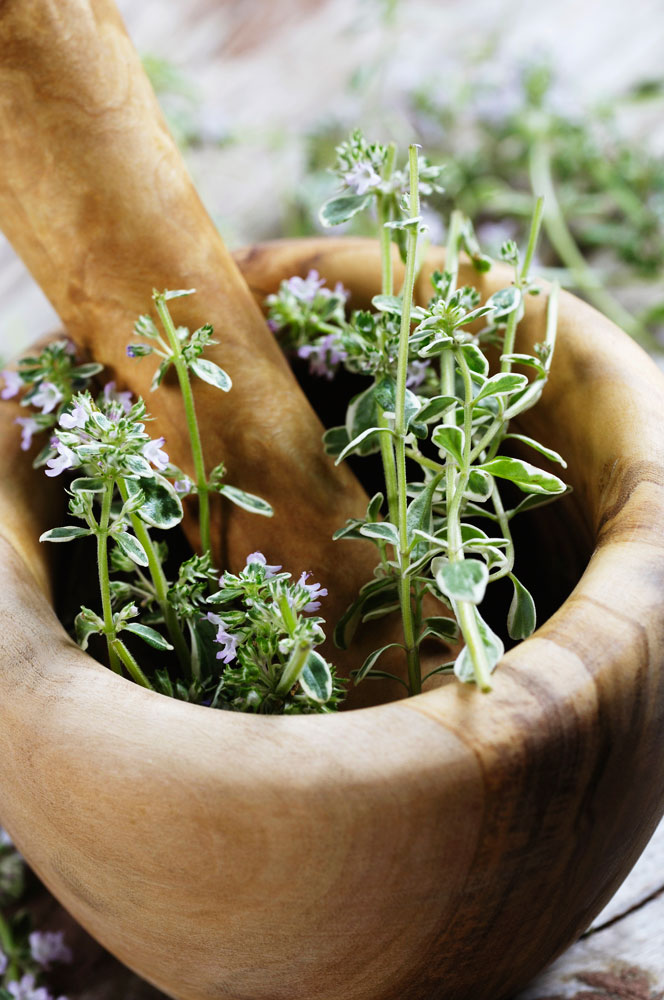 grow-body-cleansing-herbs