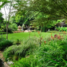 garden that suits your style - tropical