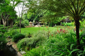 garden that suits your style - tropical