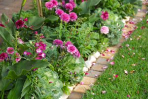 ornamental kale and ranunculi + winter gardening guide