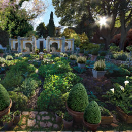 gardens of the golden city - beechwood gardens