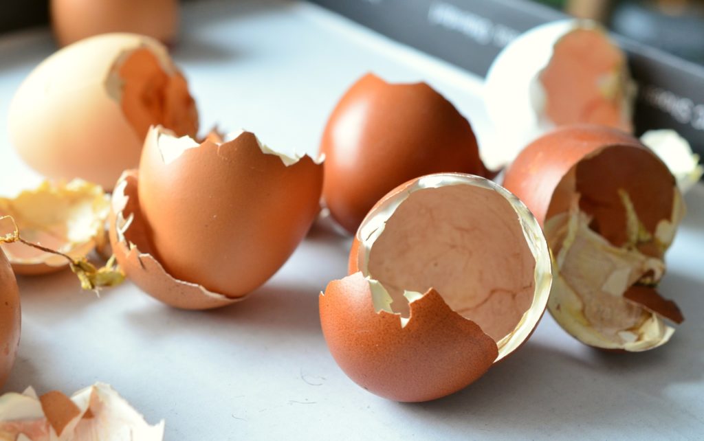 home hacks - egg shells