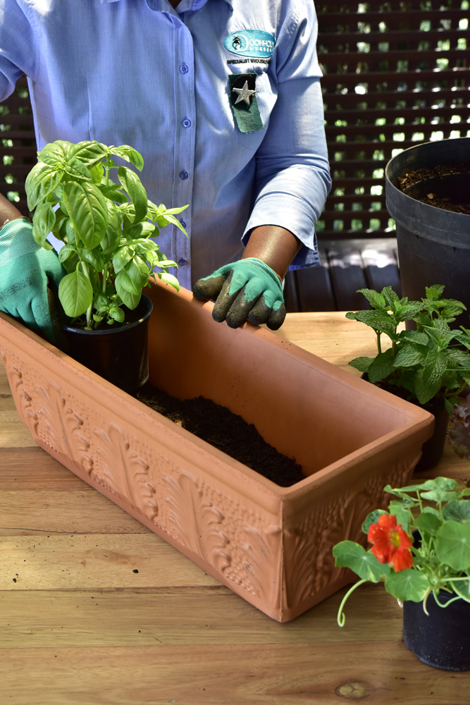 Planting a herb window-box STEP ONE