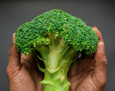 How to grow broccoli