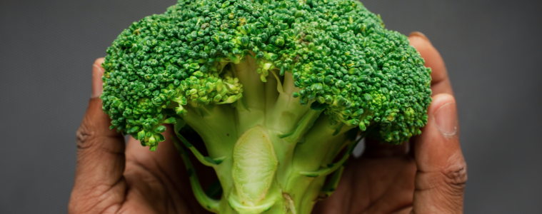 How to grow broccoli