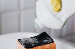 How to get rid of mould