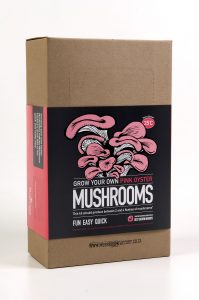 mushroom growing kit prize