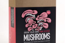 mushroom growing kit prize