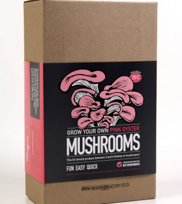 mushroom growing kit prize