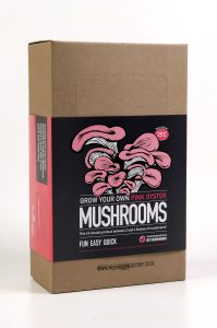 mushroom growing kit