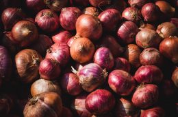 How to grow onions