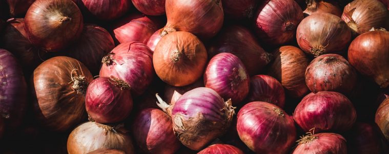 How to grow onions