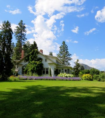 lush lawn