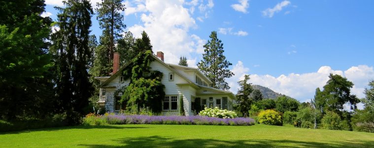 lush lawn