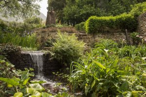 garden at tokara