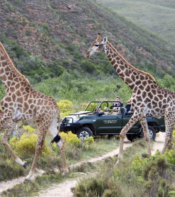 Gondwana Private Game Reserve