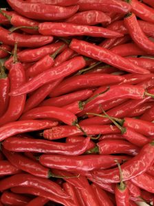 A guide to growing chillies