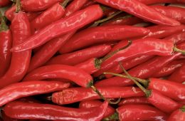 A guide to growing chillies