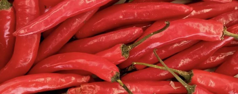 A guide to growing chillies