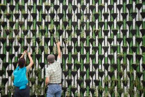 vertical garden