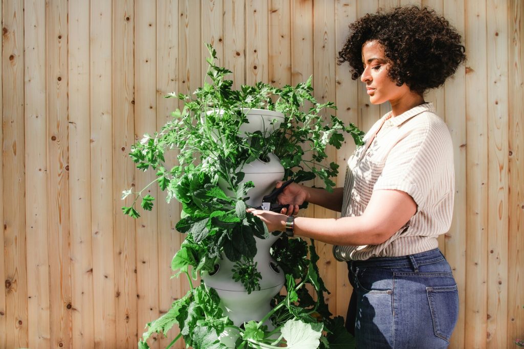 vertical garden 2