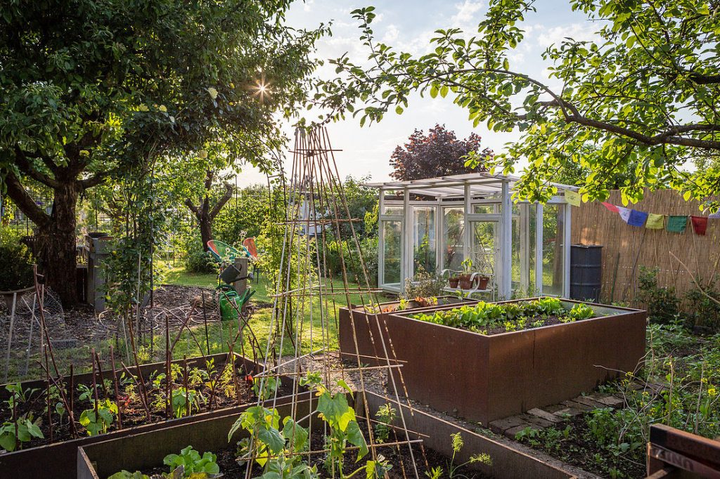 Budget-Friendly Garden Distinct Zones