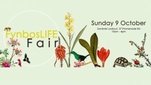 fynbos conservation