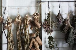 how to dry herbs