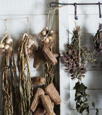 how to dry herbs