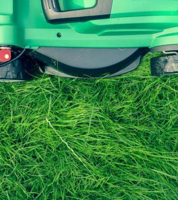 the case against lawns why you should stop mowing your lawn