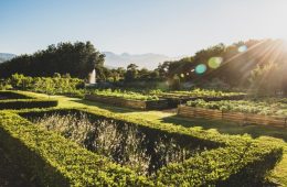 Stellenbosch throws open its doors for Garden Town 2022 (20-30 October)