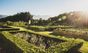 Stellenbosch throws open its doors for Garden Town 2022 (20-30 October)