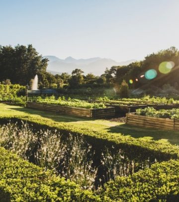 Stellenbosch throws open its doors for Garden Town 2022 (20-30 October)