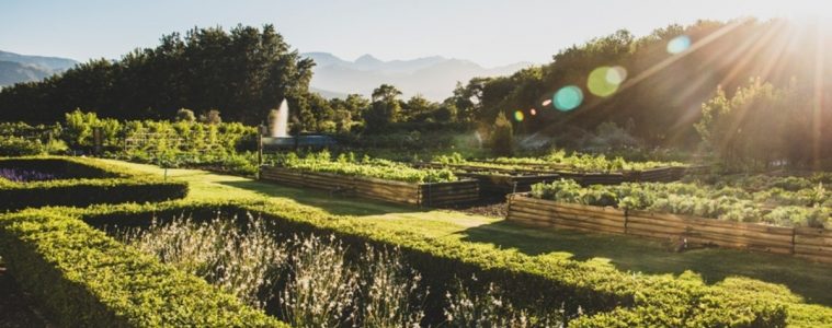 Stellenbosch throws open its doors for Garden Town 2022 (20-30 October)