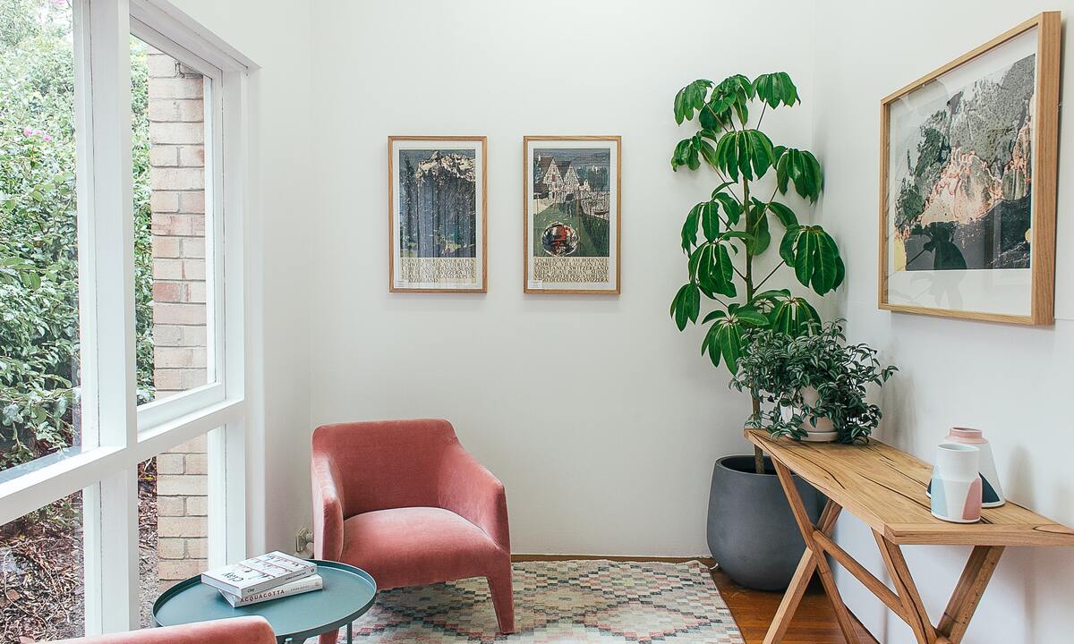 Are we going green or are plants just for the decor aesthetic | SA Garden  and Home