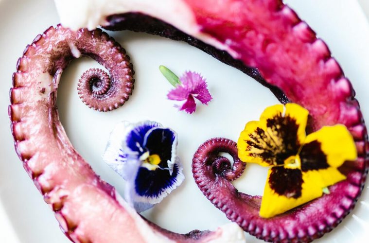 Ways To Use Your Edible Flowers