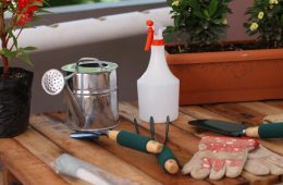 The Importance Of Cleaning Your Garden Tools