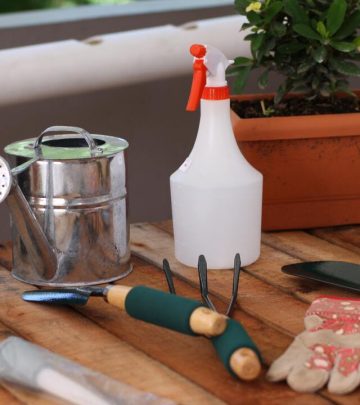 The Importance Of Cleaning Your Garden Tools